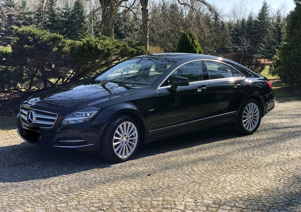 Mercedes-Benz CLS cena 67650 przebieg: 365000, rok produkcji 2011 z Skierniewice małe 191